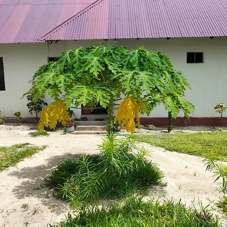 Mambo Leo Hostel パジェ エクステリア 写真