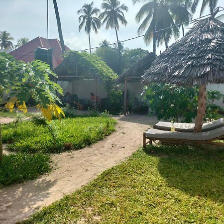 Mambo Leo Hostel パジェ エクステリア 写真