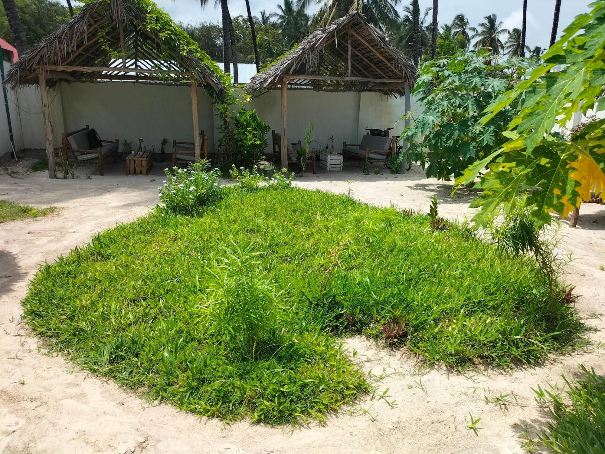 Mambo Leo Hostel パジェ エクステリア 写真