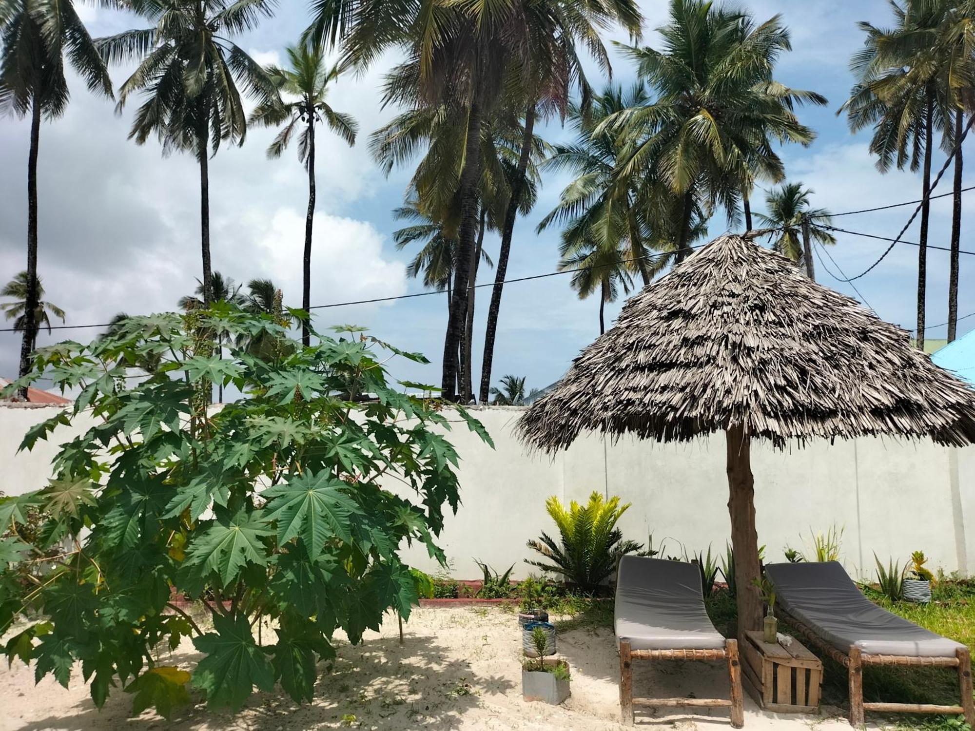 Mambo Leo Hostel パジェ エクステリア 写真