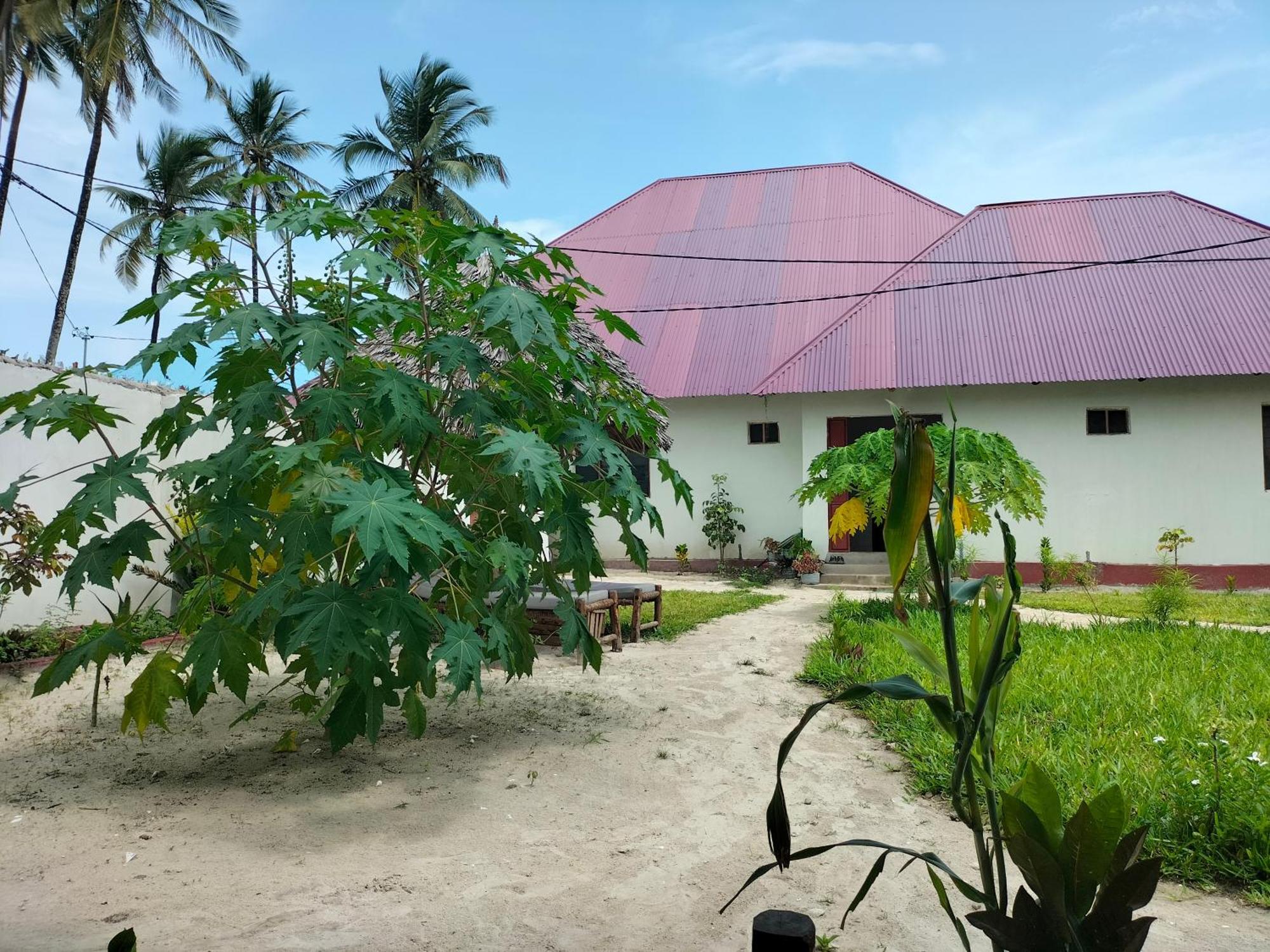 Mambo Leo Hostel パジェ エクステリア 写真