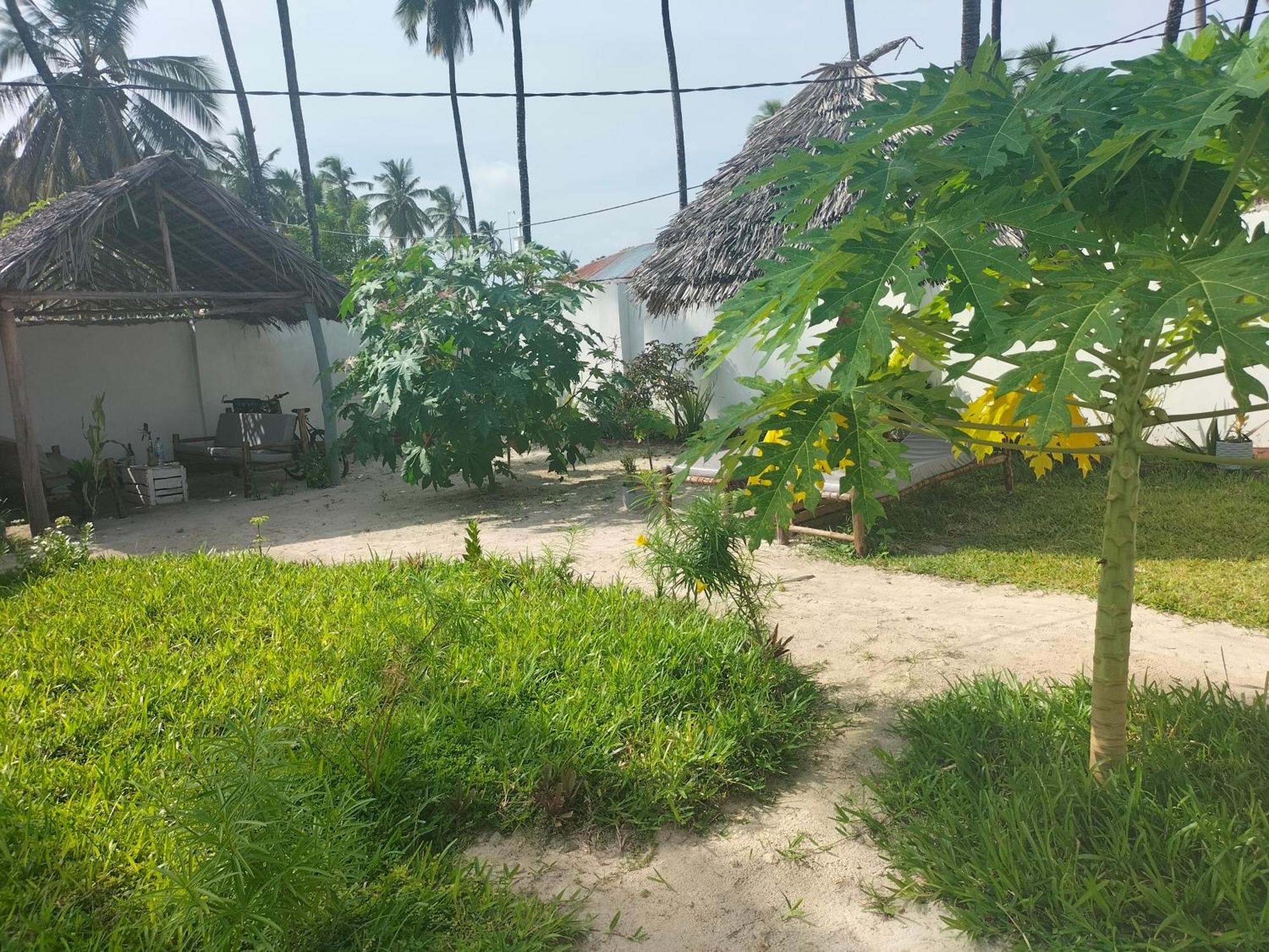 Mambo Leo Hostel パジェ エクステリア 写真