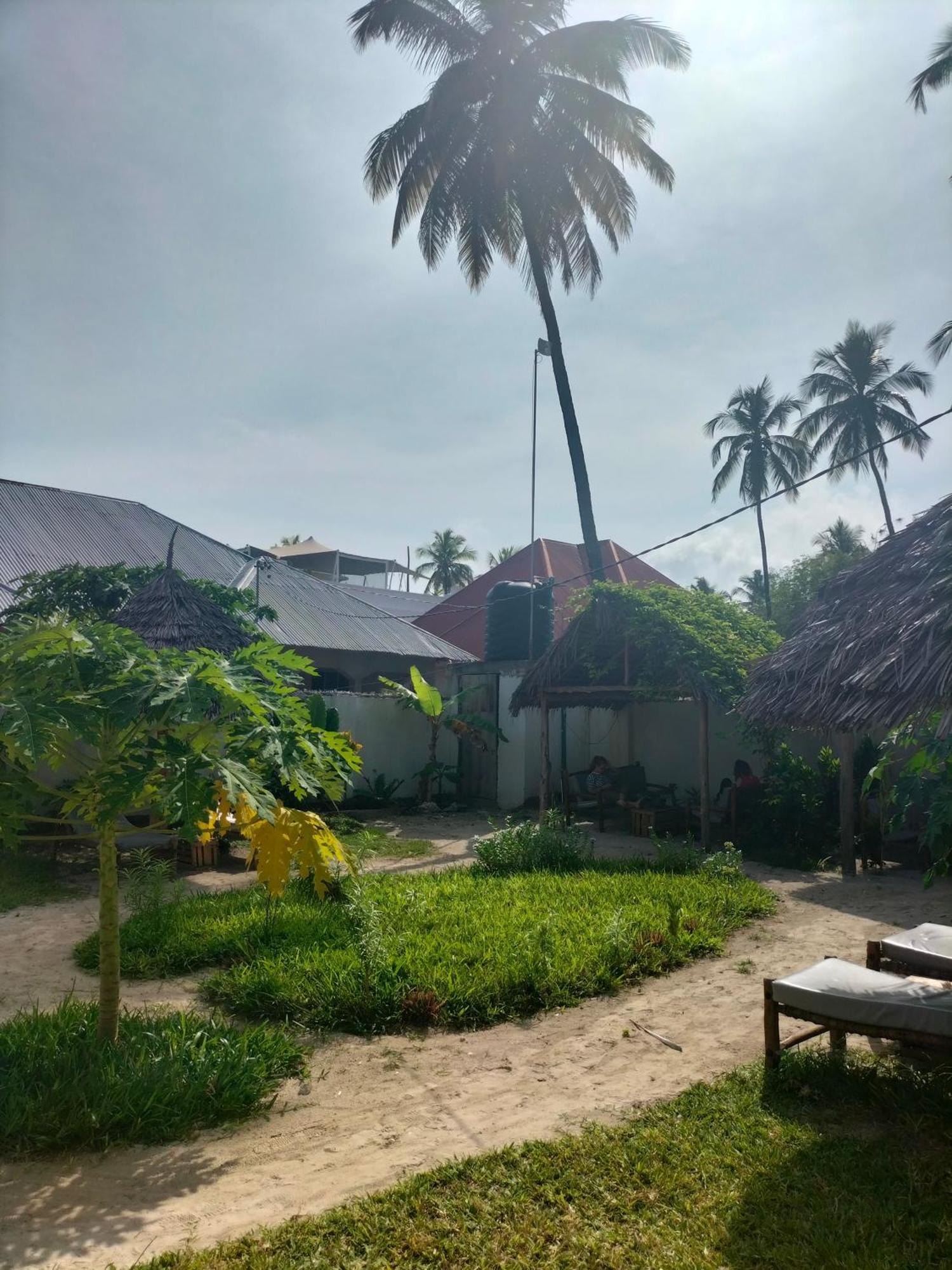 Mambo Leo Hostel パジェ エクステリア 写真