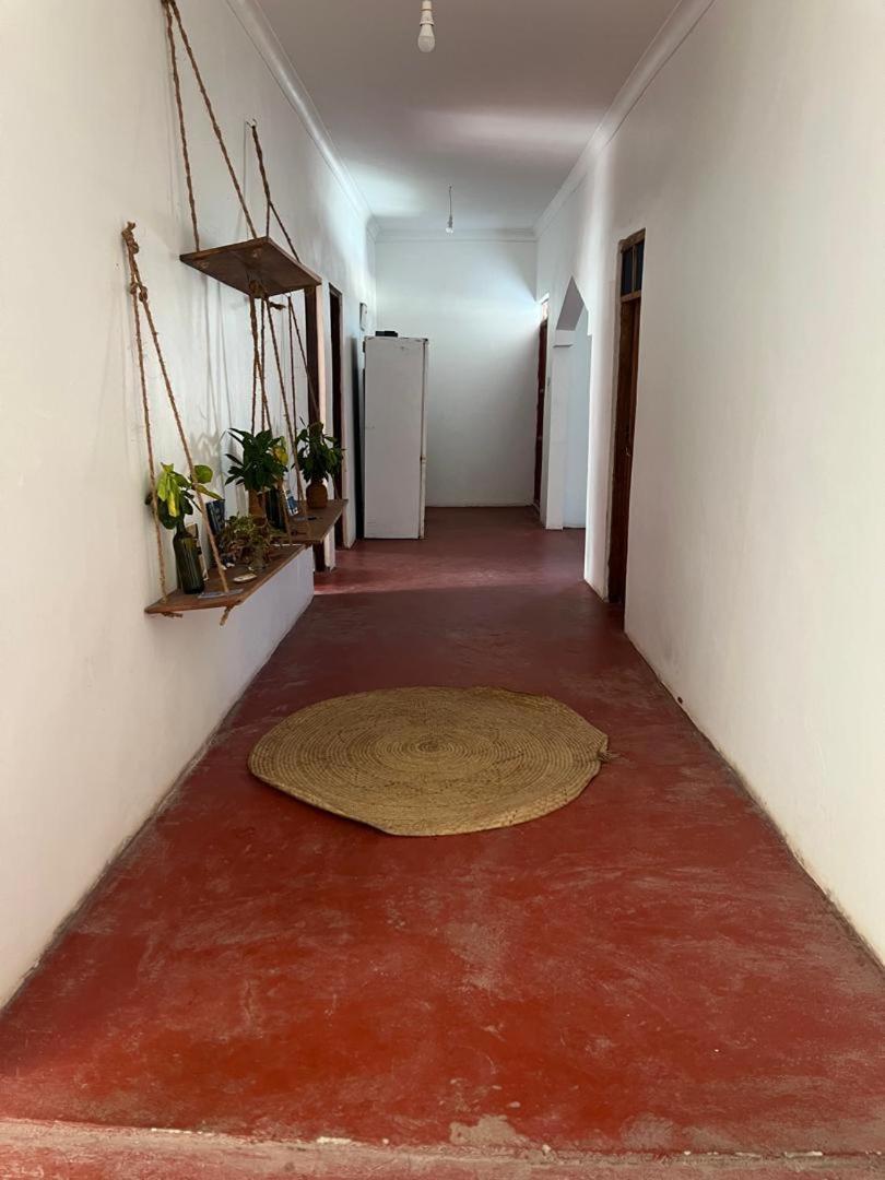 Mambo Leo Hostel パジェ エクステリア 写真