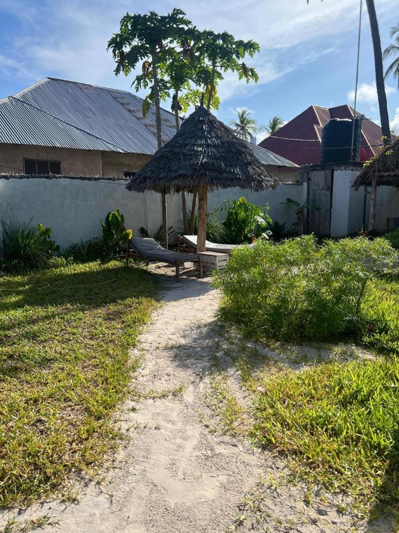Mambo Leo Hostel パジェ エクステリア 写真
