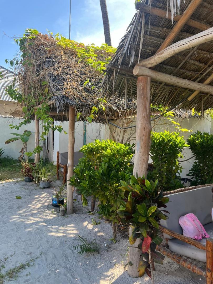 Mambo Leo Hostel パジェ エクステリア 写真