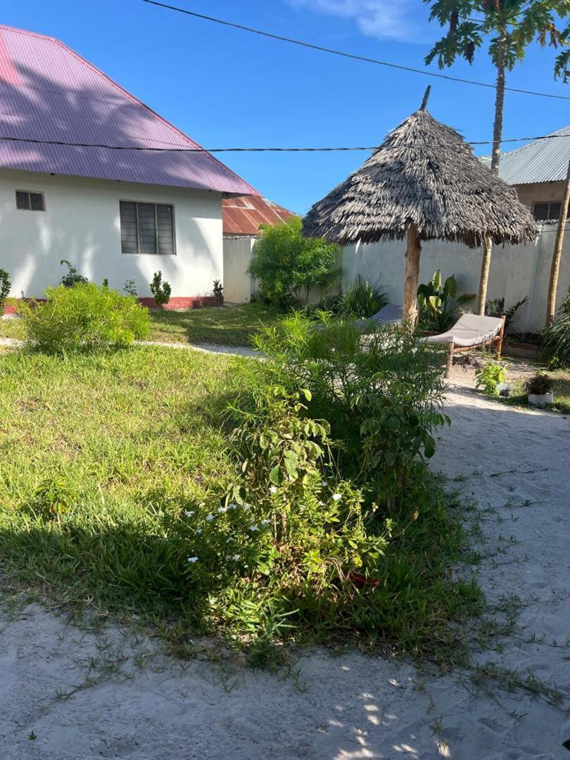 Mambo Leo Hostel パジェ エクステリア 写真